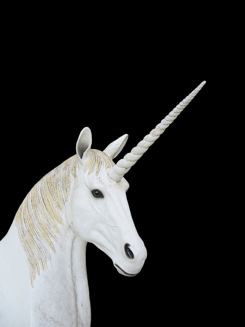 Unicorn-inspired Details